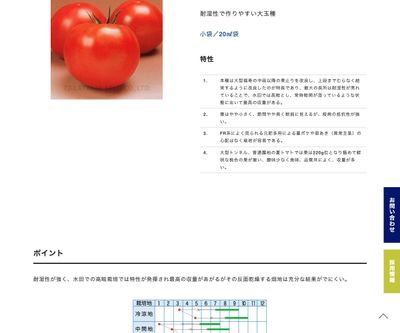 福寿100号の画像