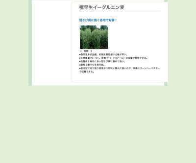 極早生イーグルエン麦の画像