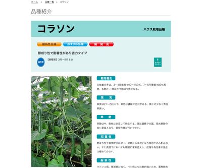 コラソンの画像