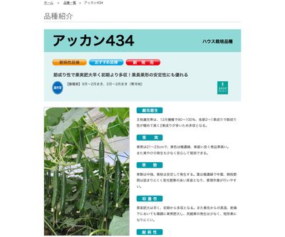 アッカン434の画像