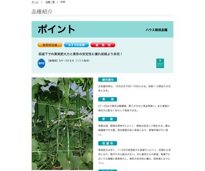 ポイントの画像