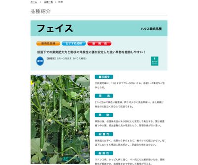 フェイスの画像