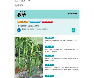 秋華（しゅうか）の画像