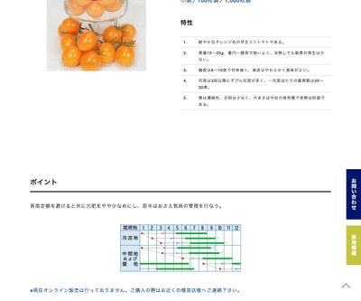 オレンジチャームの画像