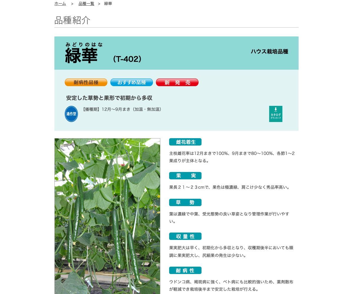 緑華（みどりのはな）