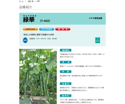 緑華（みどりのはな）の画像