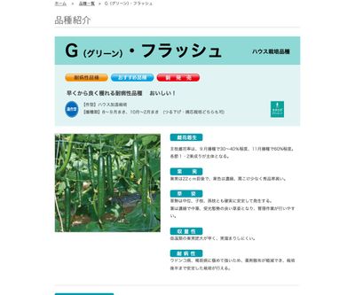 G・フラッシュの画像