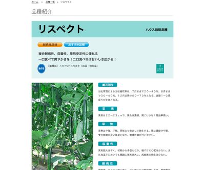 リスペクトの画像