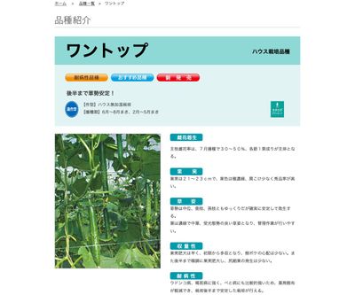 ワントップの画像