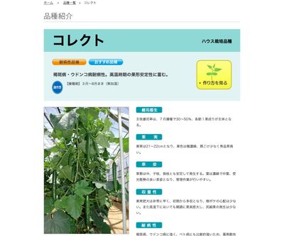 コレクトの画像