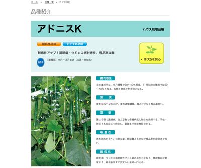 アドニスKの画像