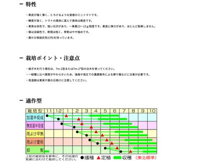 CFプチぷよⅡの画像