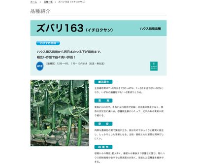 ズバリ163の画像