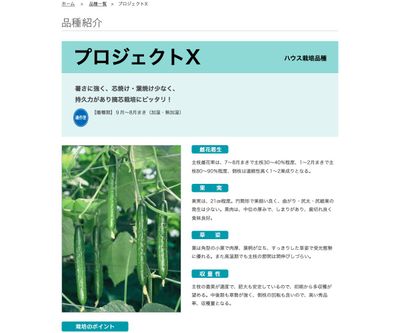 プロジェクトXの画像