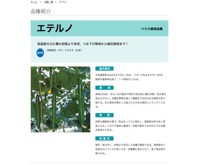 エテルノの画像