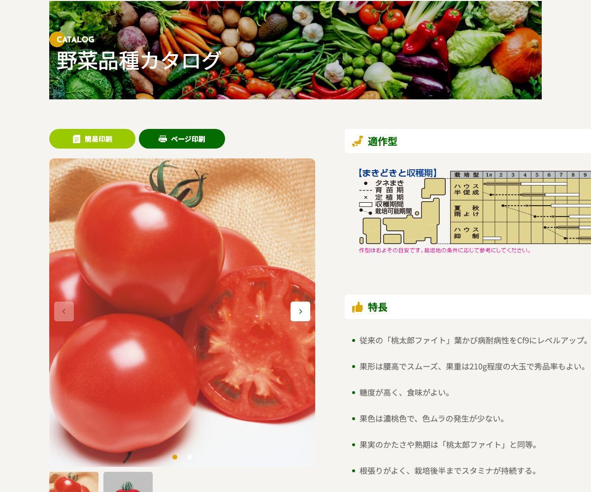 CF桃太郎ファイト
