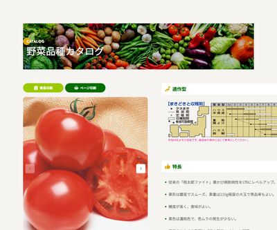 CF桃太郎ファイトの画像