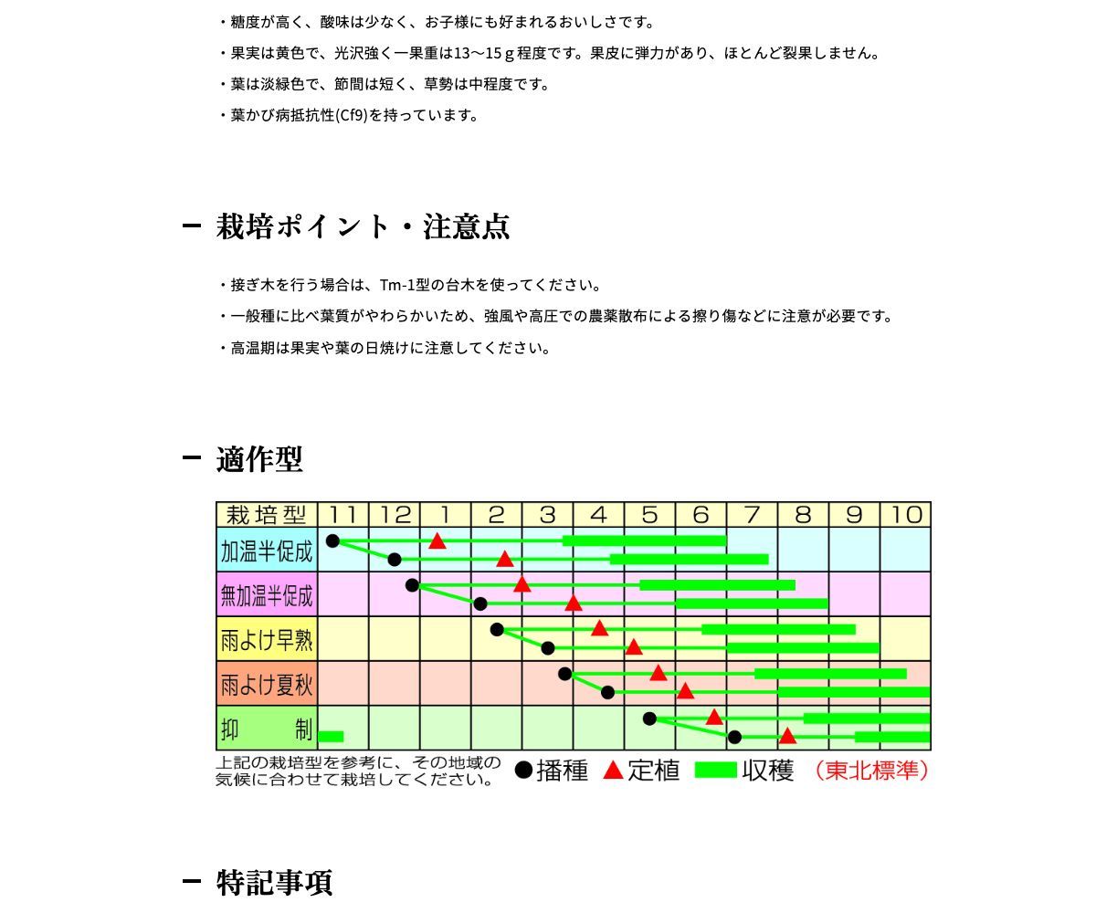 CFプチぷよイエロー