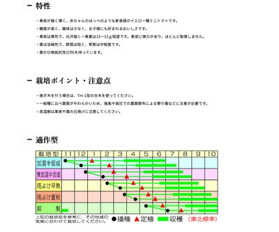 CFプチぷよイエローの画像