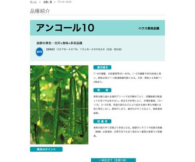 アンコール10の画像