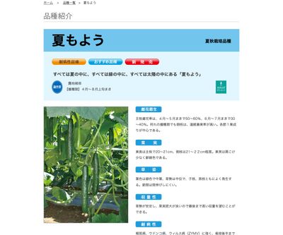 夏もようの画像