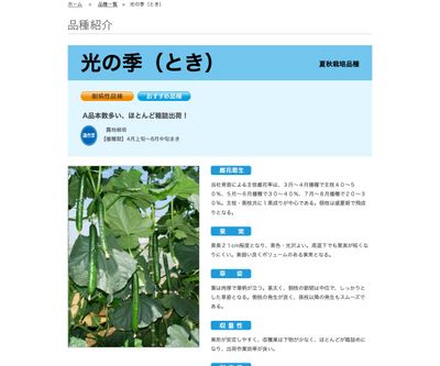 光の季（とき）の画像