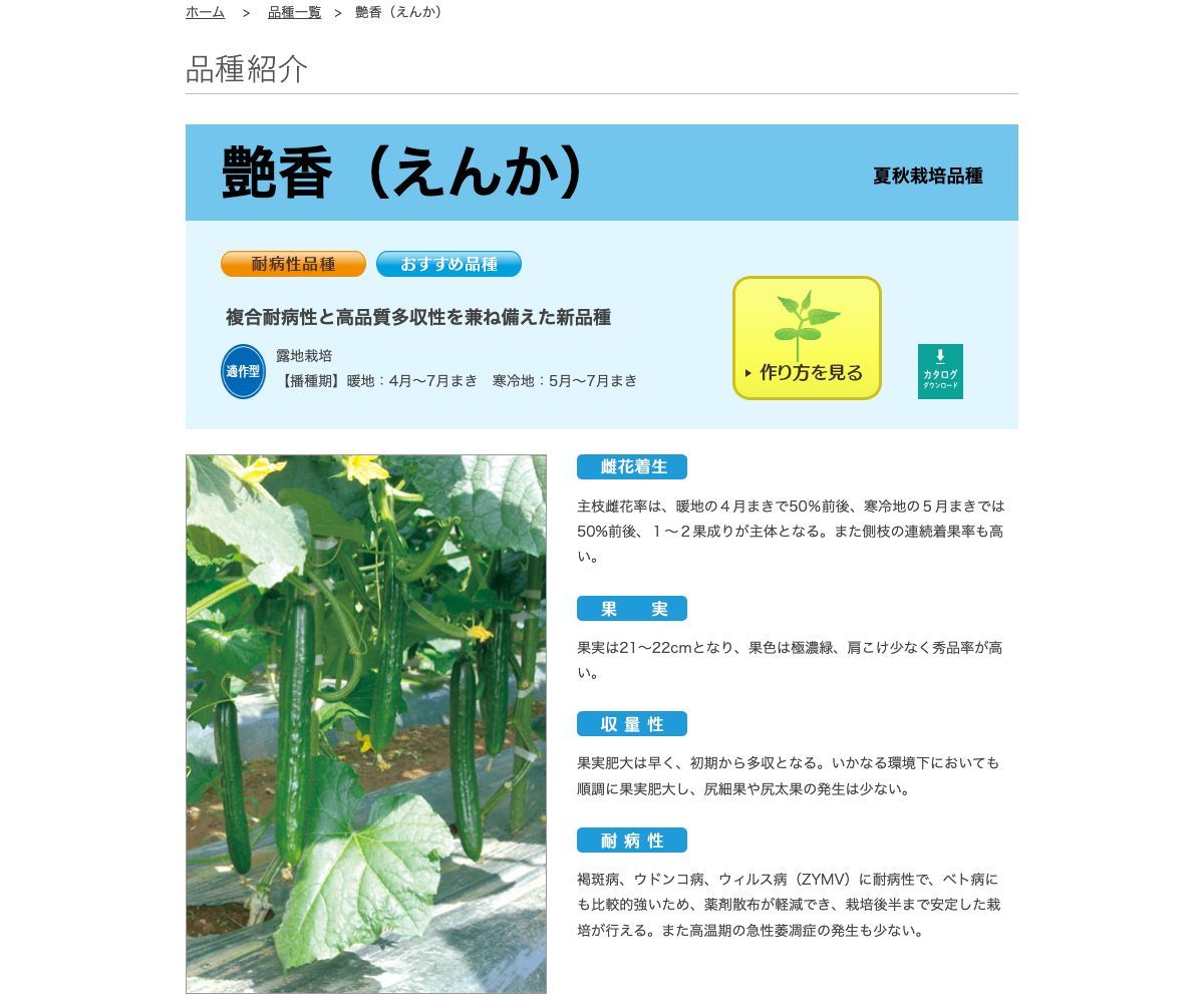 艶香（えんか）