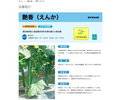 艶香（えんか）の画像