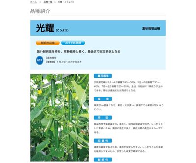 光耀（こうよう）の画像