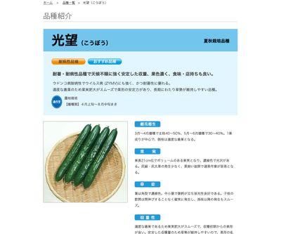 光望（こうぼう）の画像