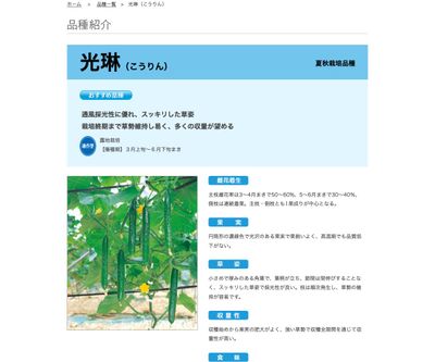 光琳（こうりん）の画像