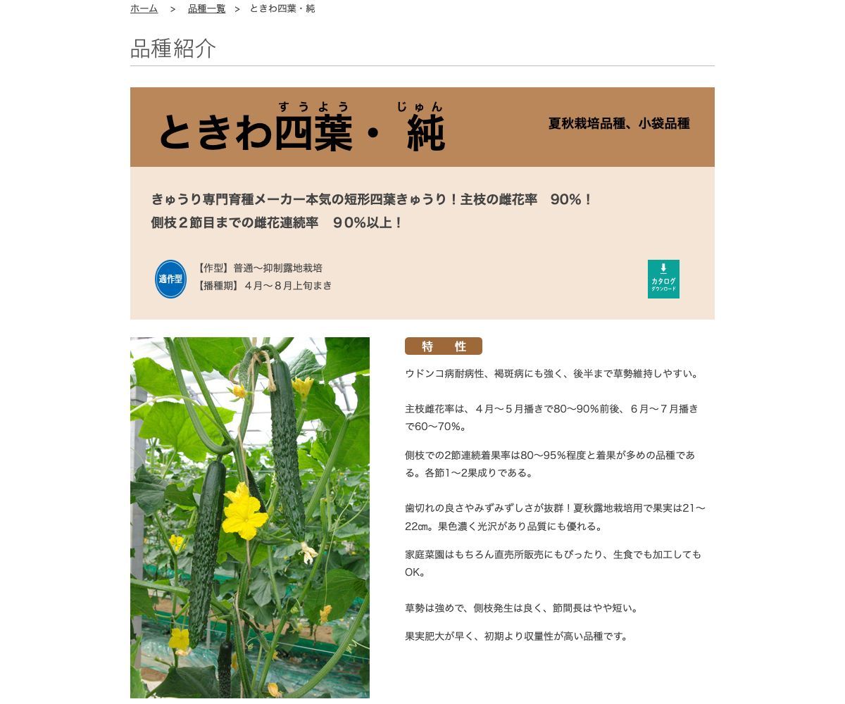 ときわ四葉・純