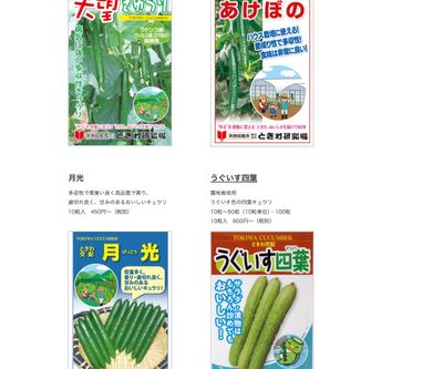 大望キュウリの画像