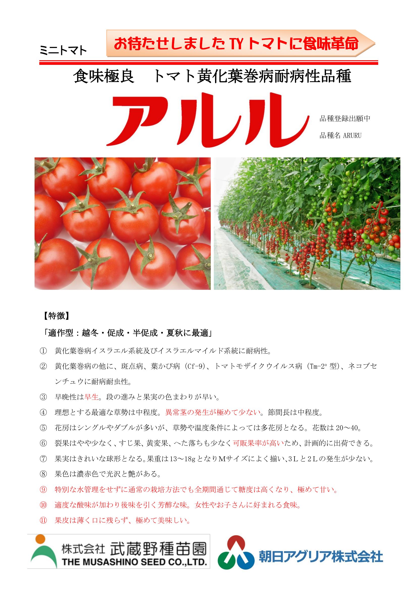 アルル