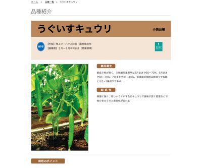 うぐいすキュウリの画像