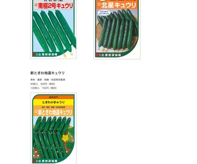 北星キュウリの画像