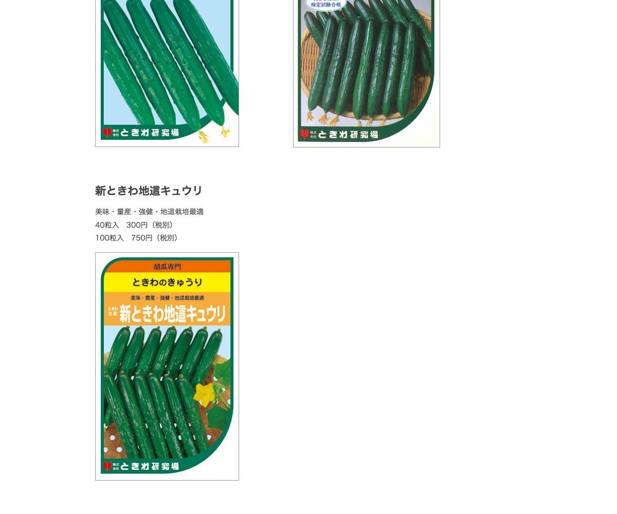 新ときわ地這いキュウリ