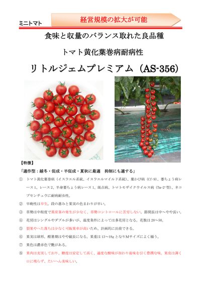 リトルジェムプレミアムの画像