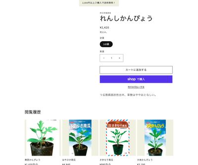 れんしかんぴょうの画像