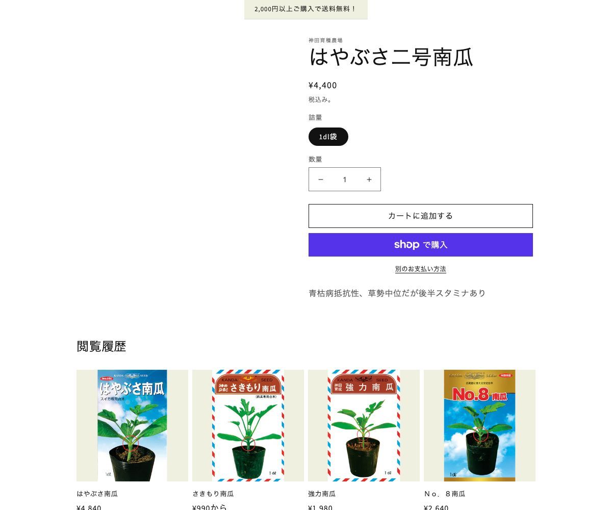 はやぶさ二号南瓜