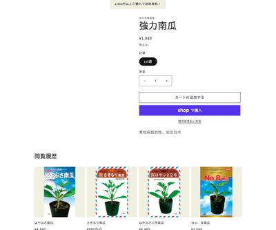 強力南瓜の画像