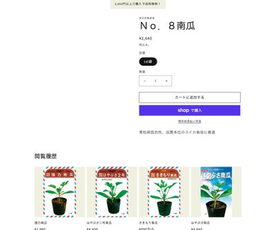 Ｎｏ．８南瓜の画像