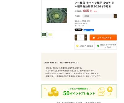 かがやきの画像