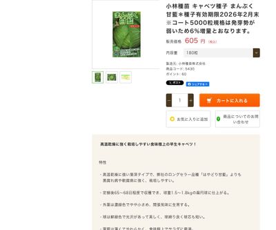 まんぷく甘藍の画像