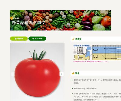 ホーム桃太郎の画像