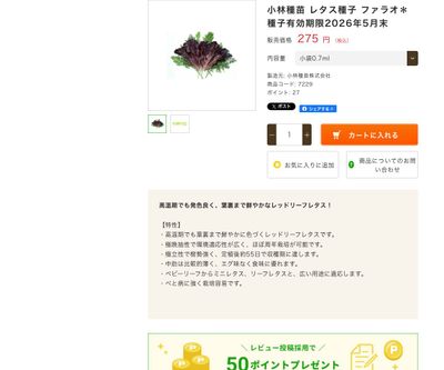 ファラオの画像