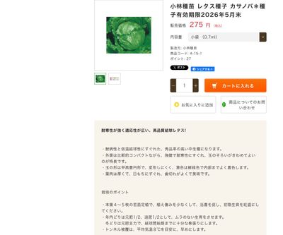 カサノバの画像