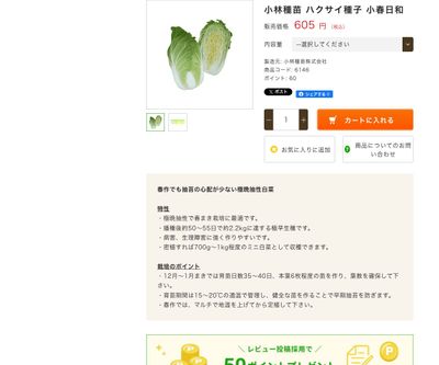 小春日和の画像