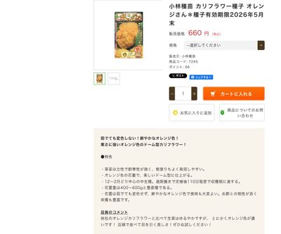 オレンジさんの画像