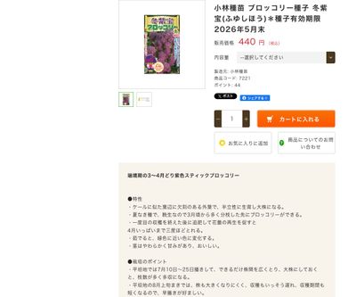 冬紫宝(ふゆしほう)の画像